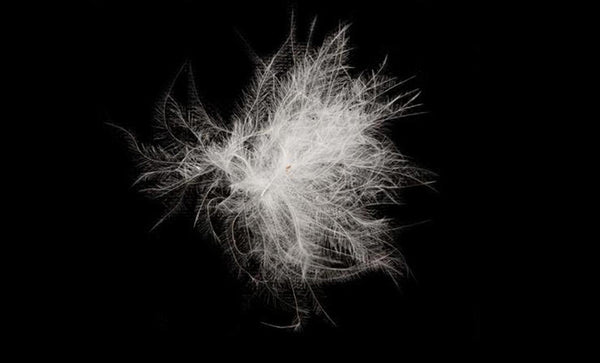 光滑的床上用品